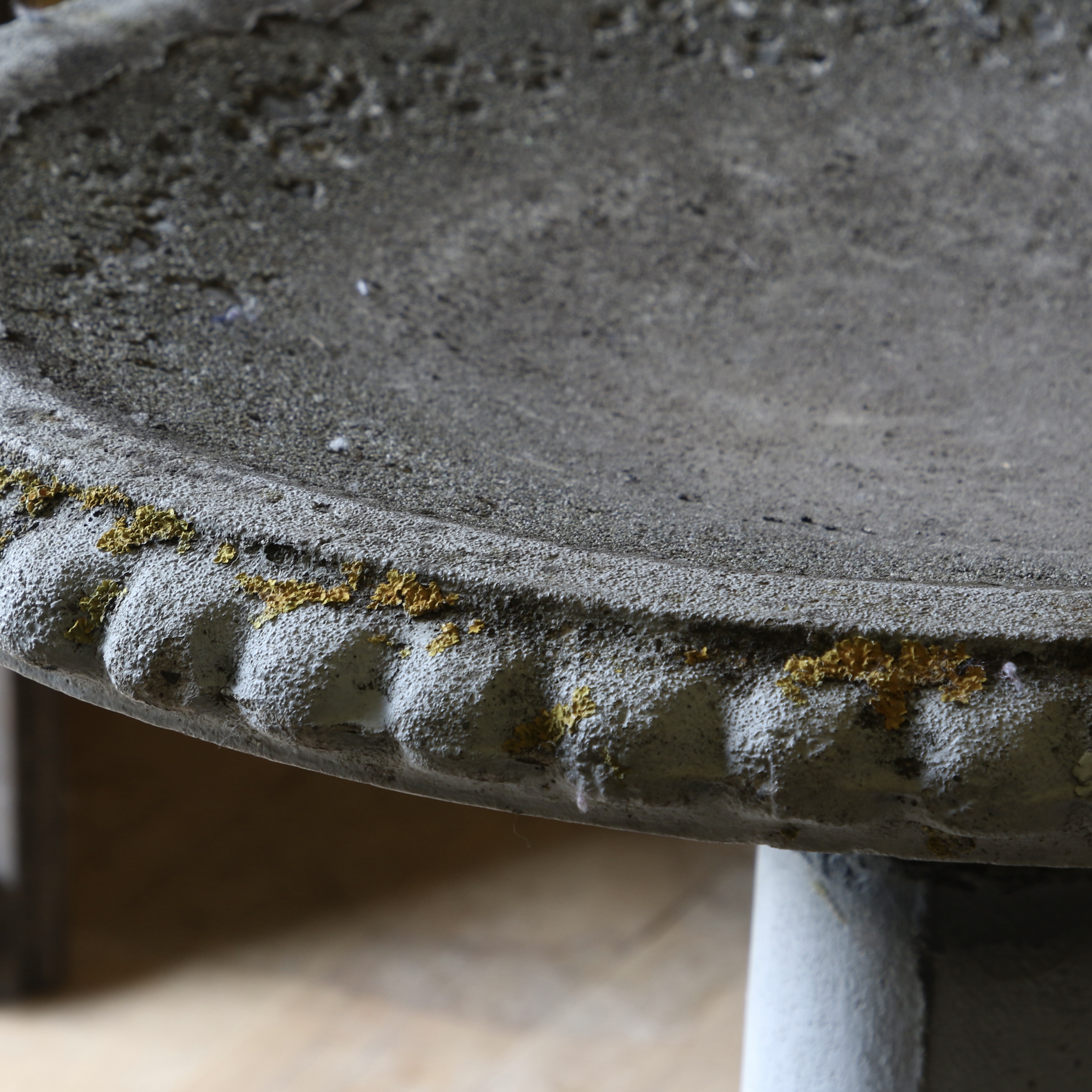 Bird Bath
